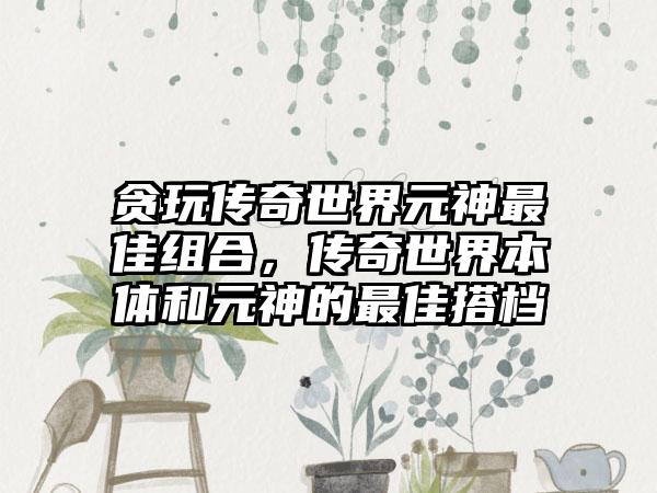 贪玩传奇世界元神最佳组合，传奇世界本体和元神的最佳搭档