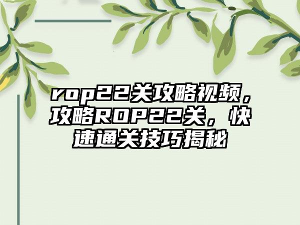 rop22关攻略视频，攻略ROP22关，快速通关技巧揭秘