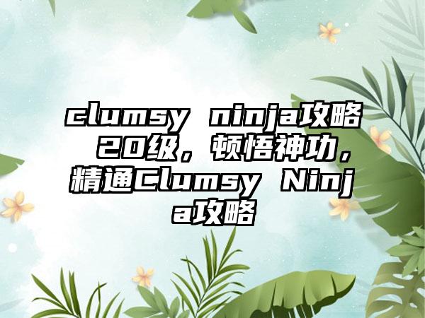 clumsy ninja攻略 20级，顿悟神功，精通Clumsy Ninja攻略