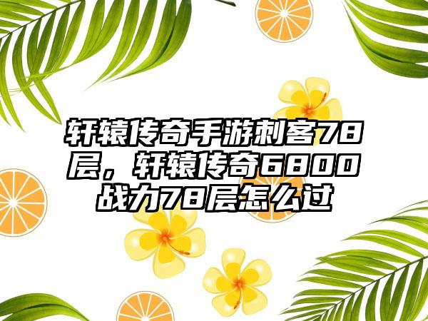 轩辕传奇手游刺客78层，轩辕传奇6800战力78层怎么过