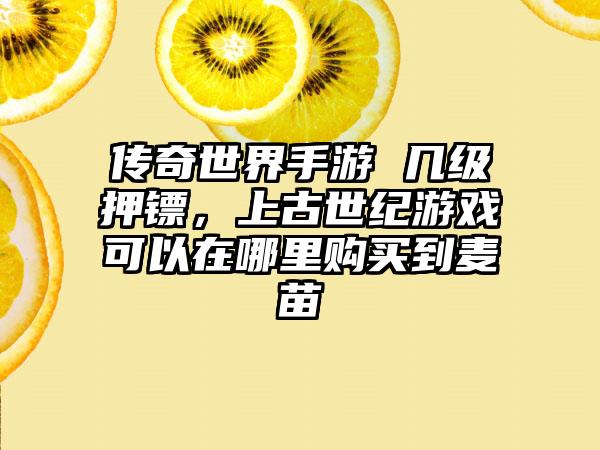 传奇世界手游 几级押镖，上古世纪游戏可以在哪里购买到麦苗