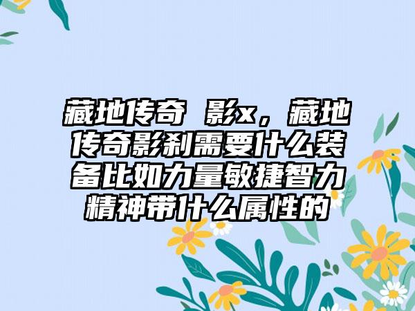 藏地传奇 影x，藏地传奇影刹需要什么装备比如力量敏捷智力精神带什么属性的