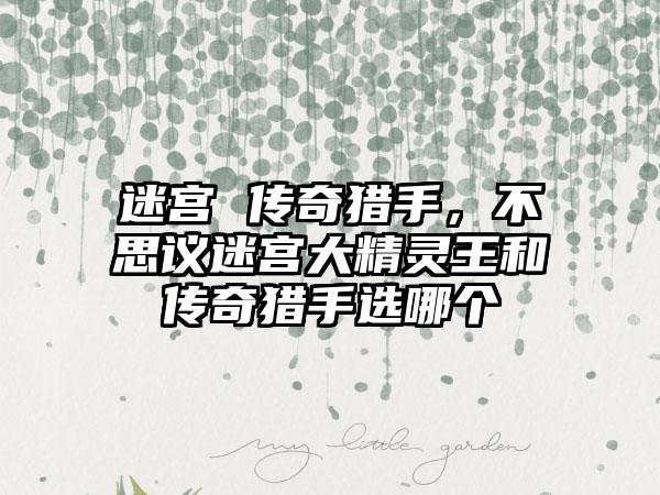 迷宫 传奇猎手，不思议迷宫大精灵王和传奇猎手选哪个