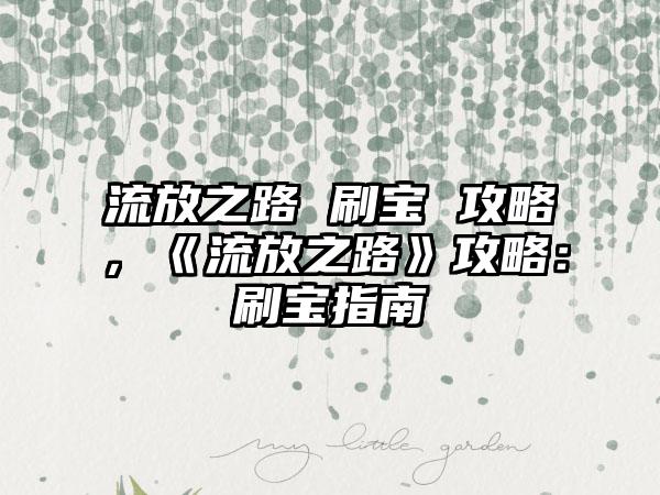 流放之路 刷宝 攻略，《流放之路》攻略：刷宝指南