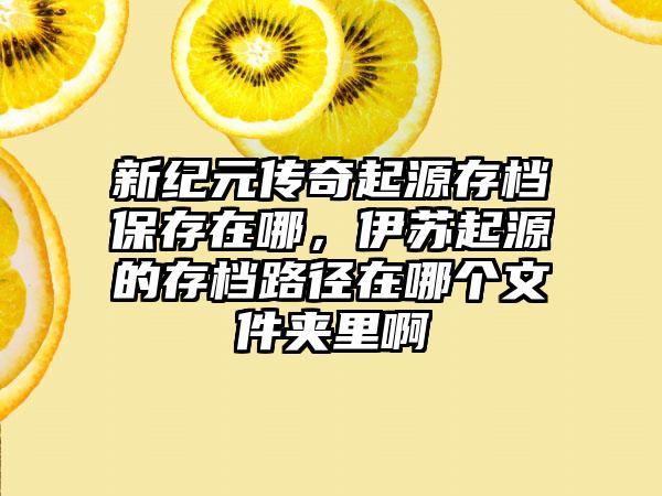 新纪元传奇起源存档保存在哪，伊苏起源的存档路径在哪个文件夹里啊