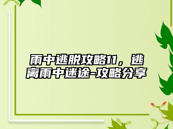雨中逃脱攻略11，逃离雨中迷途-攻略分享