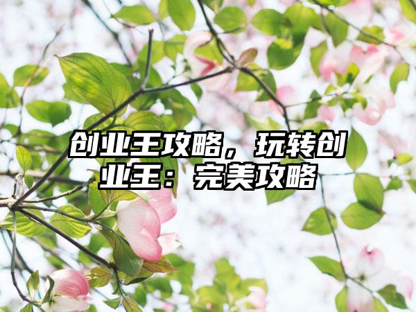 创业王攻略，玩转创业王：完美攻略