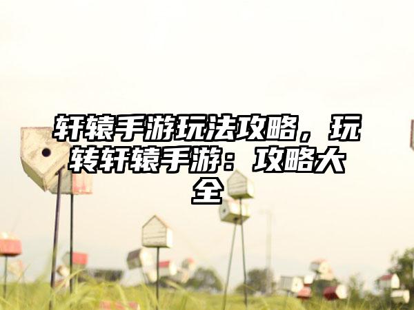 轩辕手游玩法攻略，玩转轩辕手游：攻略大全