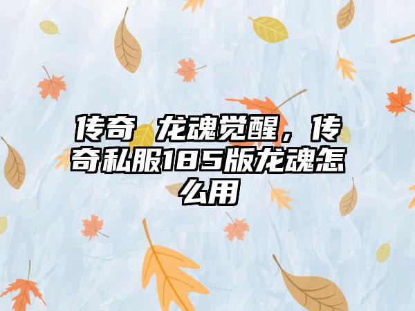 传奇 龙魂觉醒，传奇私服185版龙魂怎么用