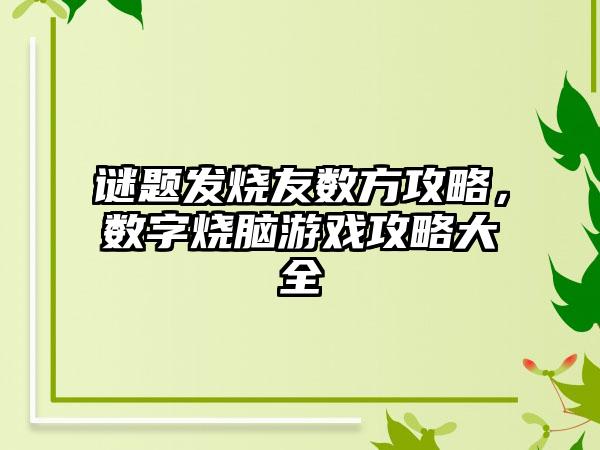 谜题发烧友数方攻略，数字烧脑游戏攻略大全