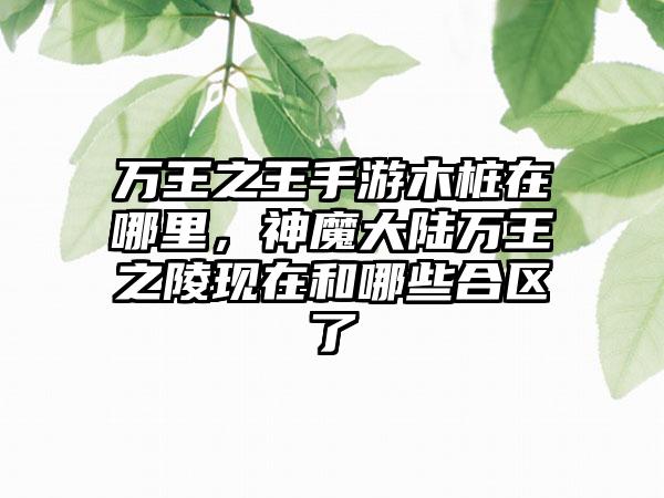万王之王手游木桩在哪里，神魔大陆万王之陵现在和哪些合区了