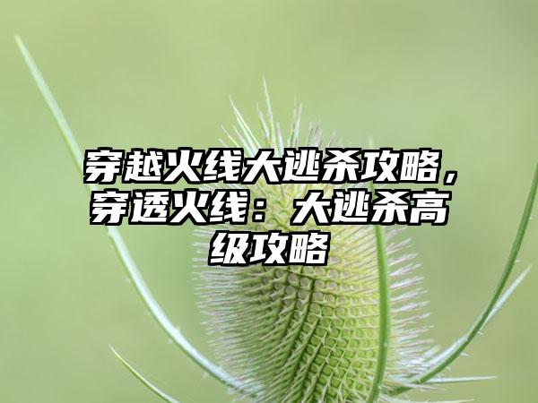 穿越火线大逃杀攻略，穿透火线：大逃杀高级攻略