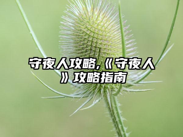 守夜人攻略,《守夜人》攻略指南