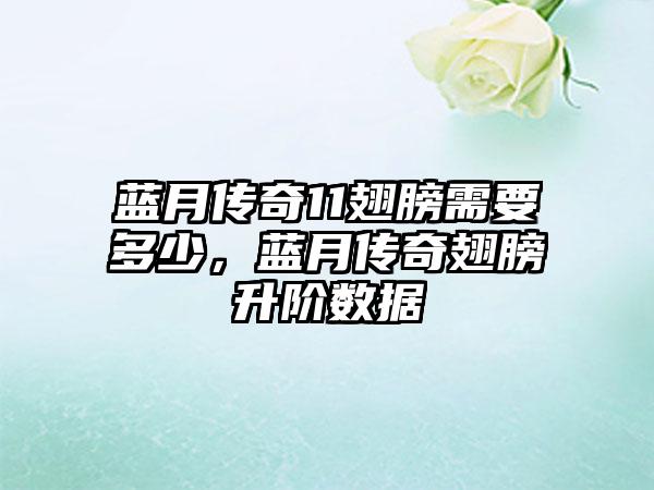 蓝月传奇11翅膀需要多少，蓝月传奇翅膀升阶数据