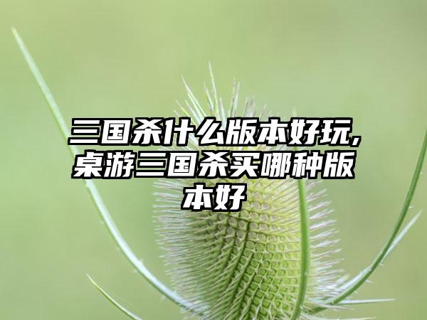 三国杀什么版本好玩,桌游三国杀买哪种版本好