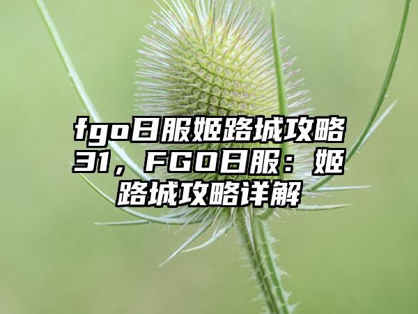 fgo日服姬路城攻略31，FGO日服：姬路城攻略详解