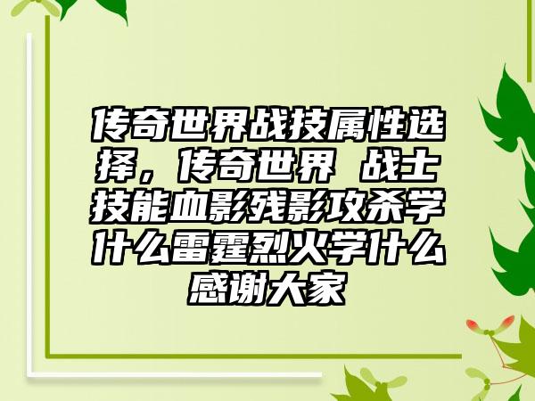 传奇世界战技属性选择，传奇世界 战士技能血影残影攻杀学什么雷霆烈火学什么感谢大家