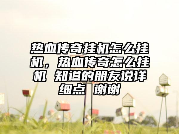 热血传奇挂机怎么挂机，热血传奇怎么挂机 知道的朋友说详细点 谢谢