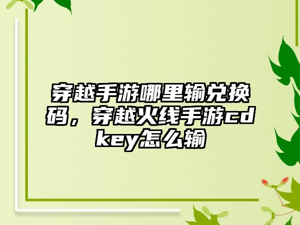 穿越手游哪里输兑换码，穿越火线手游cdkey怎么输