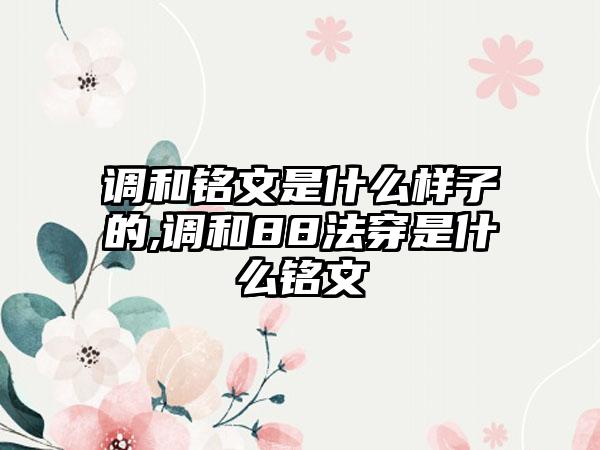 调和铭文是什么样子的,调和88法穿是什么铭文