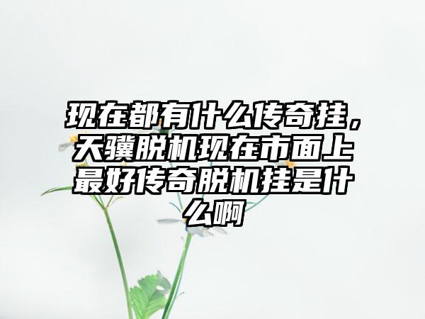 现在都有什么传奇挂，天骥脱机现在市面上最好传奇脱机挂是什么啊