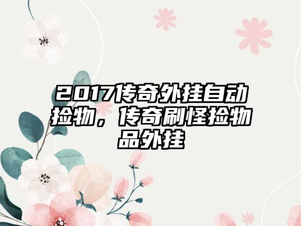 2017传奇外挂自动捡物，传奇刷怪捡物品外挂