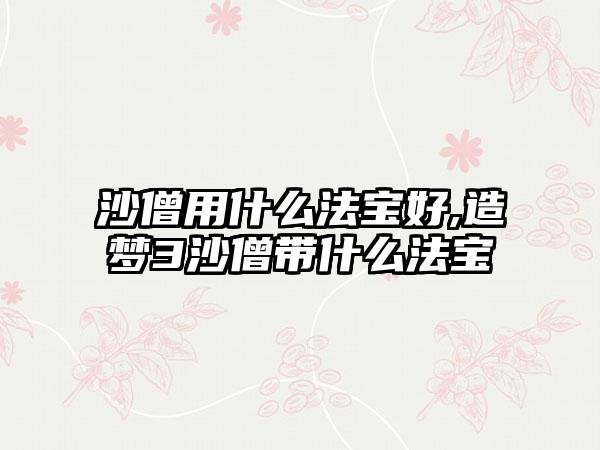 沙僧用什么法宝好,造梦3沙僧带什么法宝