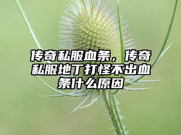 传奇私服血条，传奇私服地丁打怪不出血条什么原因