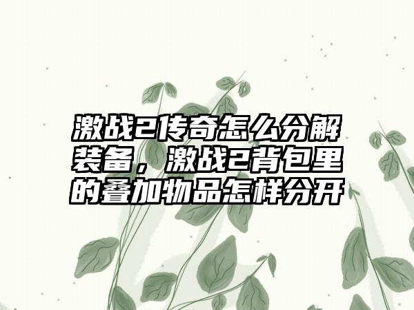 激战2传奇怎么分解装备，激战2背包里的叠加物品怎样分开