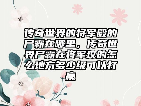 传奇世界的将军殿的尸霸在哪里，传奇世界尸霸在将军坟的怎么地方多少级可以打赢