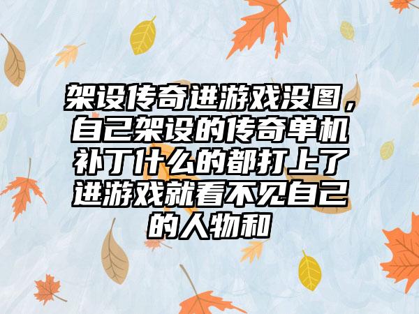 架设传奇进游戏没图，自己架设的传奇单机补丁什么的都打上了进游戏就看不见自己的人物和