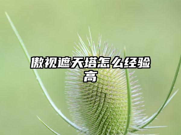 傲视遮天塔怎么经验高