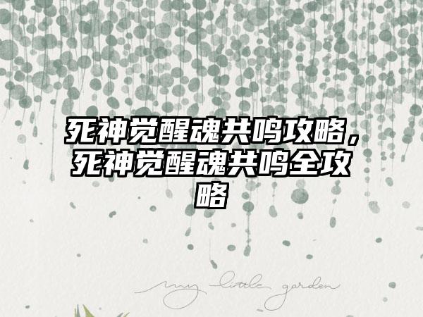 死神觉醒魂共鸣攻略，死神觉醒魂共鸣全攻略