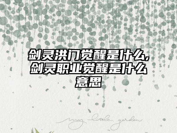 剑灵洪门觉醒是什么,剑灵职业觉醒是什么意思