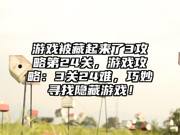 游戏被藏起来了3攻略第24关，游戏攻略：3关24难，巧妙寻找隐藏游戏！