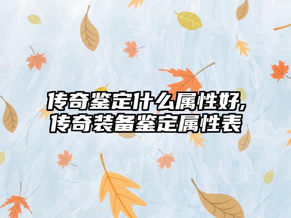 传奇鉴定什么属性好,传奇装备鉴定属性表