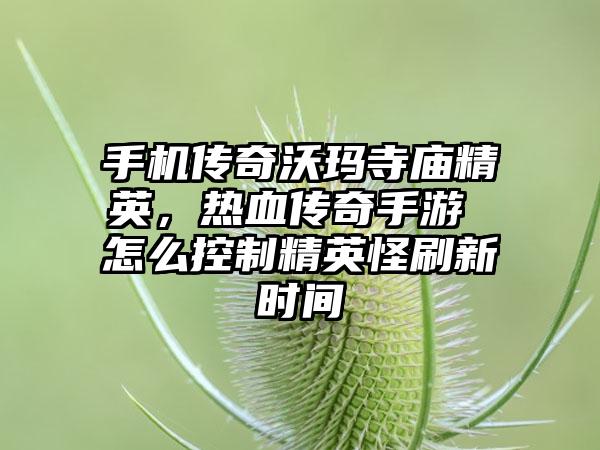 手机传奇沃玛寺庙精英，热血传奇手游 怎么控制精英怪刷新时间