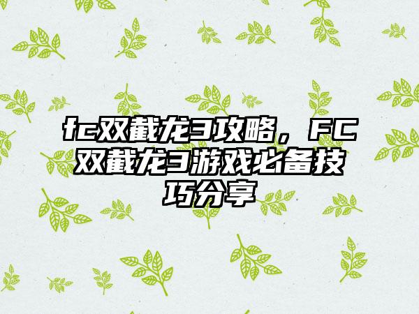 fc双截龙3攻略，FC双截龙3游戏必备技巧分享