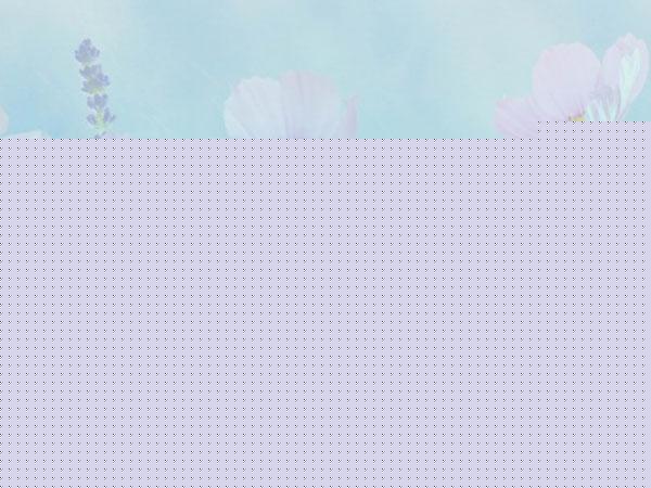 小志传奇里面幻境5层怎么进，小志传奇幻境5下6怎么走