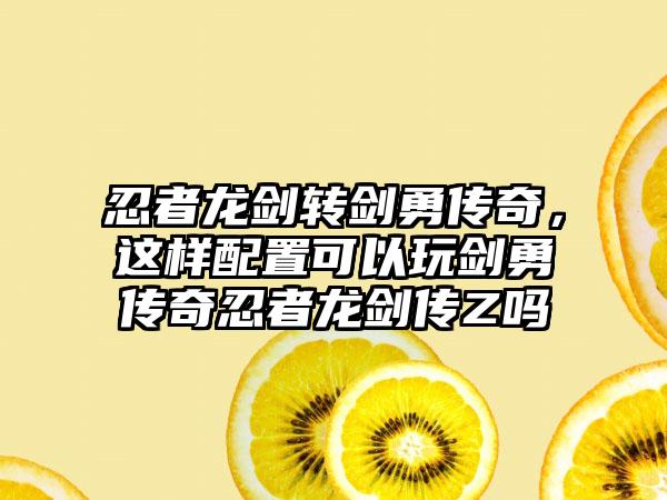 忍者龙剑转剑勇传奇，这样配置可以玩剑勇传奇忍者龙剑传Z吗
