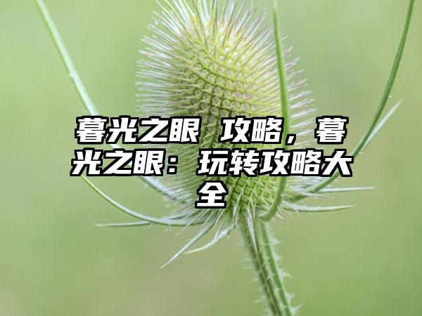 暮光之眼 攻略，暮光之眼：玩转攻略大全
