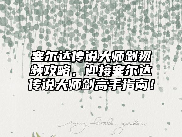 塞尔达传说大师剑视频攻略,迎接塞尔达传说大师剑高手指南!