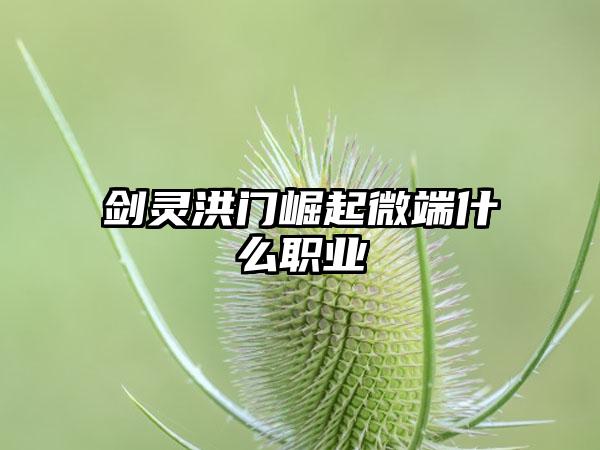 剑灵洪门崛起微端什么职业