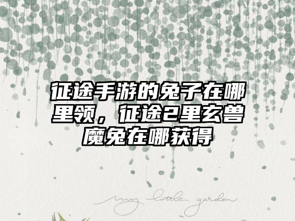 征途手游的兔子在哪里领，征途2里玄兽魔兔在哪获得