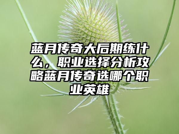 蓝月传奇大后期练什么，职业选择分析攻略蓝月传奇选哪个职业英雄