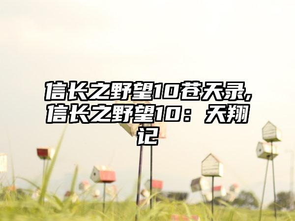 信长之野望10苍天录,信长之野望10：天翔记