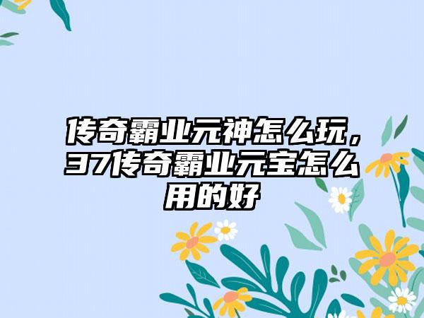 传奇霸业元神怎么玩，37传奇霸业元宝怎么用的好
