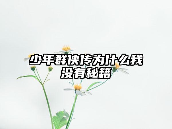 少年群侠传为什么我没有秘籍
