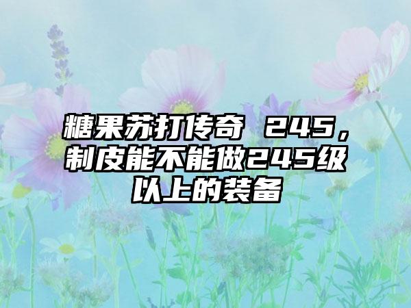 糖果苏打传奇 245，制皮能不能做245级以上的装备