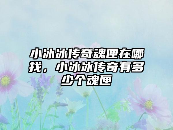 小冰冰传奇魂匣在哪找，小冰冰传奇有多少个魂匣